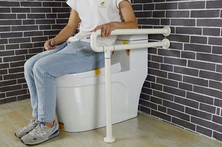 適老化無(wú)障礙扶手 (3)